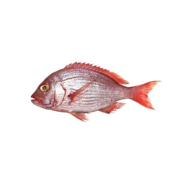 Paprastasis rifešerys (Red Snapper), skrost., 2-4kg, atvės., 1*10kg