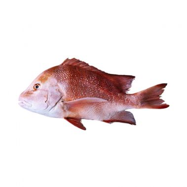 Paprastasis rifešerys (Emperor Red Snapper), skrost., 2-4kg, atvės., 1*10kg