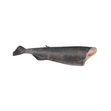 Menkė juodoji (Sablefish), skrost., b/g, 1.8-2.3+kg, šald., IQF, 1*~22kg (gr.k. 22kg)