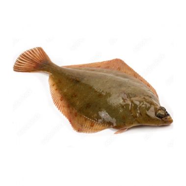 Turbotas (Turbot), skrost., 1,5-2kg, šald., IQF,  1*~13.5 kg