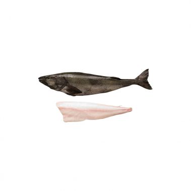 Menkė Juodoji (Sablefish), skrost., b/g, 2-3.5+kg, šald., IQF, PPAC