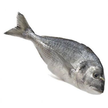 Dorada, skrosta, 600-800g, šald., ~1.2-2kg