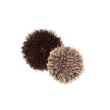 Jūros ežys (Sea Urchin), 150-200g, atvės., Islande, 1*3kg