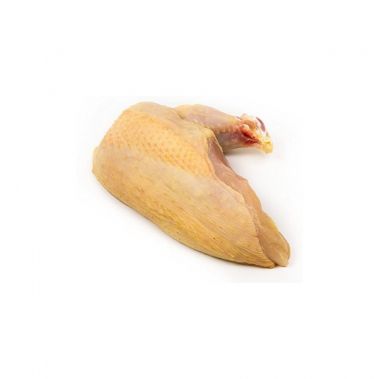 Patarškos krūtinėlė (Guinea Fowl), s/k, (SUPREME), šald., vak., 16*(2*~200-250g), P`TIT DUC