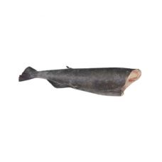 Menkė juodoji (Sablefish), skrost., b/g, 1.8-2.3+kg, IQF, 1*~22kg (gr.k. 20.9kg)