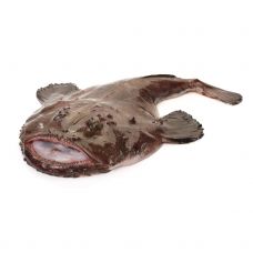 Jūros velnias (Monkfish), s/g, 3+kg, atvės.