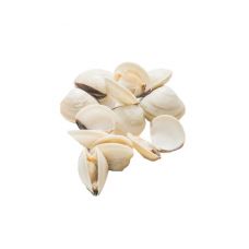 Midijos Clams (White), 60/80, šald., IQF, vak., 10*1kg