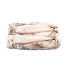 Kalmarai Patagonijos, nevalyti, 10-12cm, šald., 4*2kg