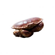 Krabas rudasis (Edible Crabs), gyvas, 800-1000g, Prancūzija
