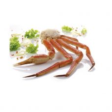 Krabų kojos (Snow Crab), virt., 226-283g, šald., 1*4.99kg (gr.k. 4.54kg), Royal Greenland